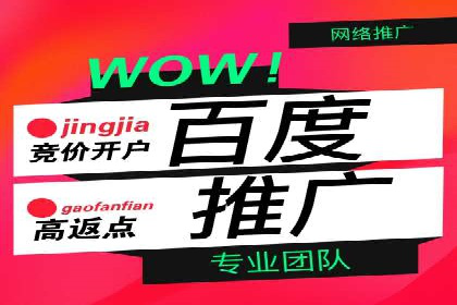 百度竞价广告运营全解析：成功案例揭秘
